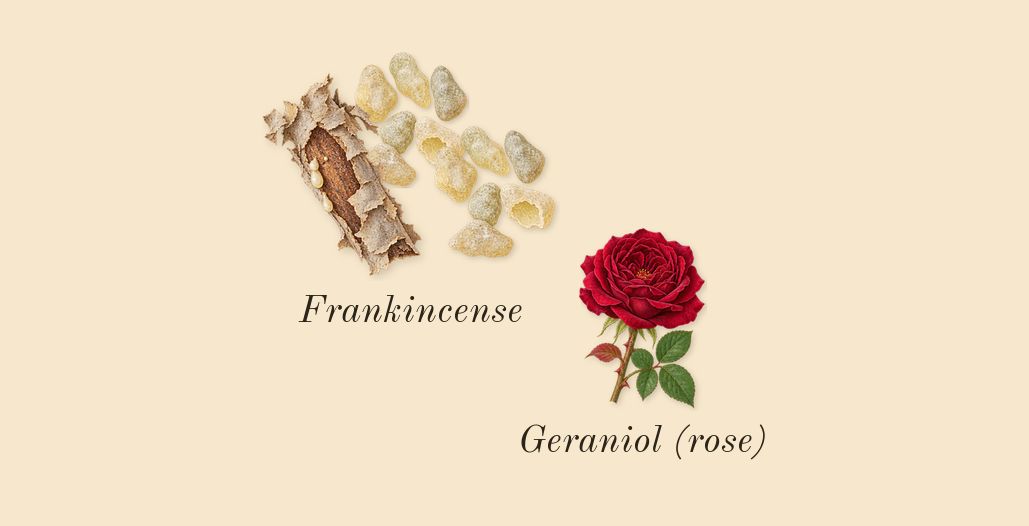 Invictus Victory Elixir, heart: Frankincense, Geraniol (rose)