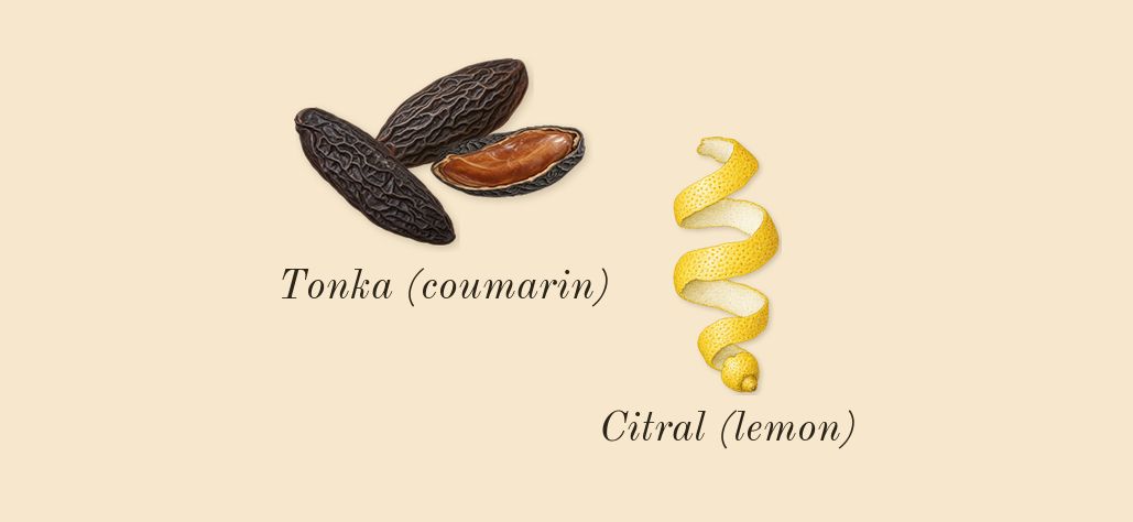 Invictus Victory Elixir, top notes: Tonka (coumarin), Citral (lemon)