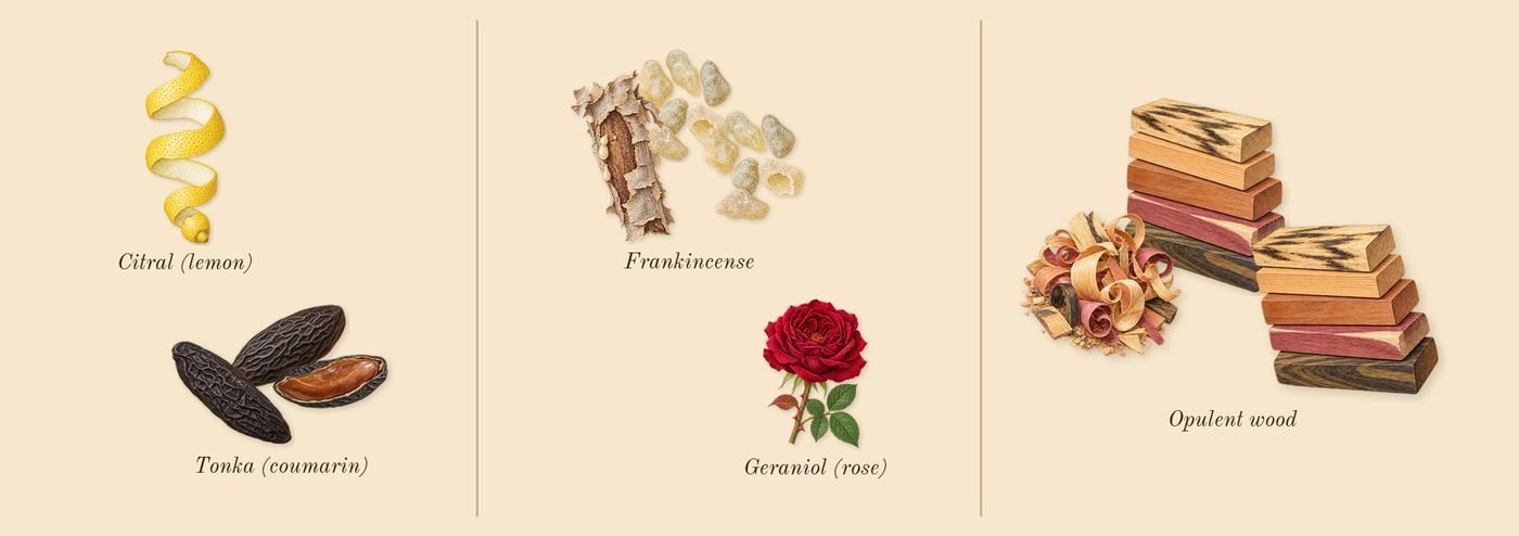 Invictus Victory Elixir’s scent picture, a draft: tonka (coumarin), frankincense, opulent wood, citral (lemon), geraniol (rose) drawn so far; dashed outlines where nothing is drawn yet