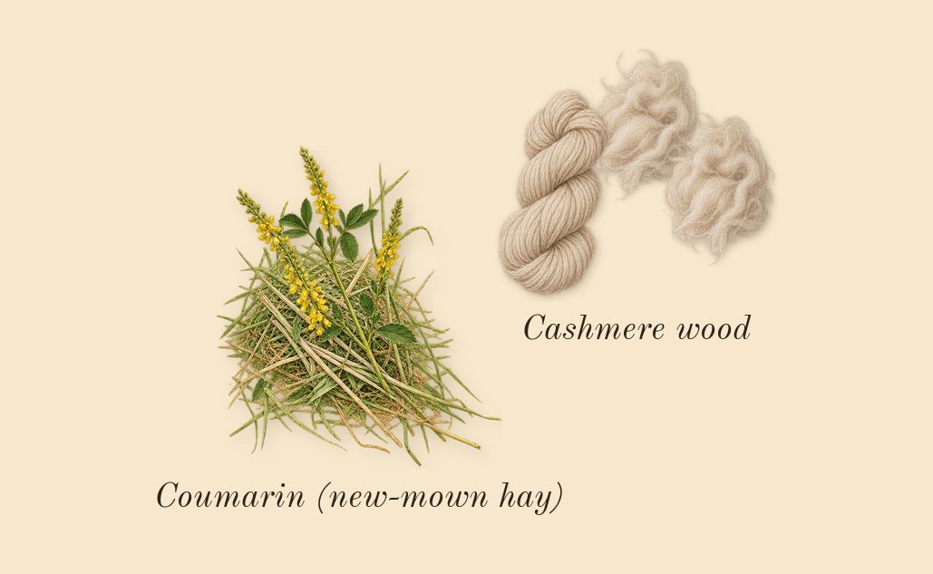 Lady Million Royal, dry-down: Cashmere wood, Coumarin (new-mown hay)