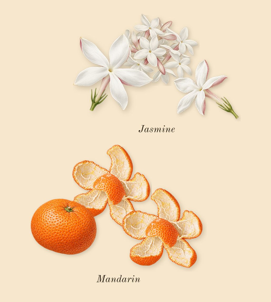 Olympéa, top notes: Jasmine, Mandarin