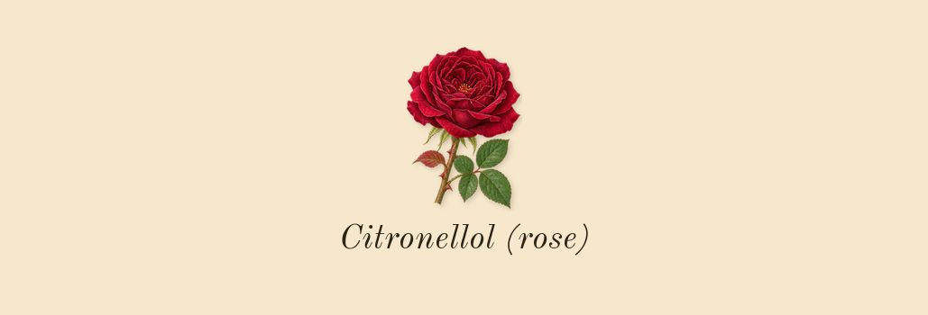 Phantom, heart: Citronellol (rose)
