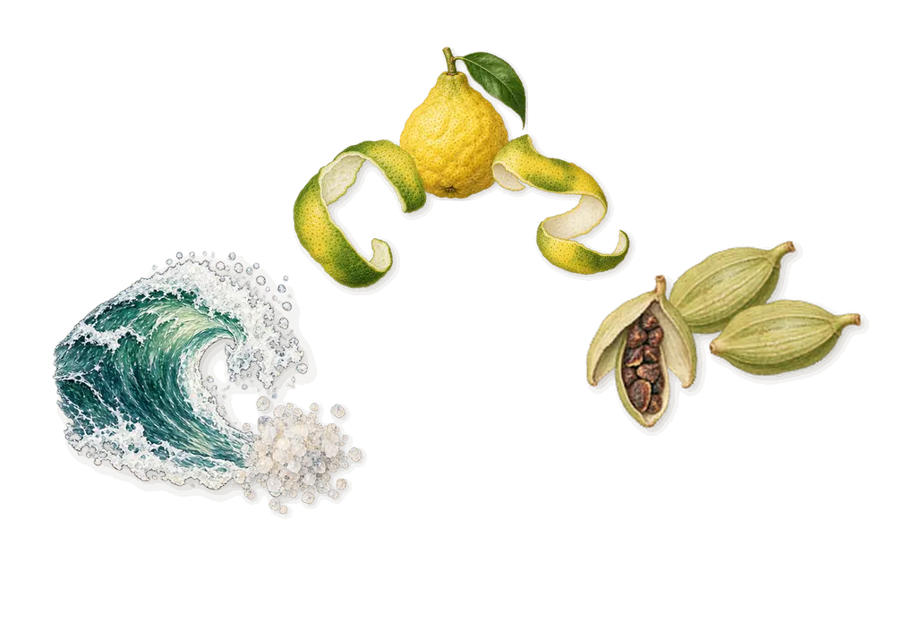 Polo Blue, when you spray it: Bergamot, Marine notes, Cardamom