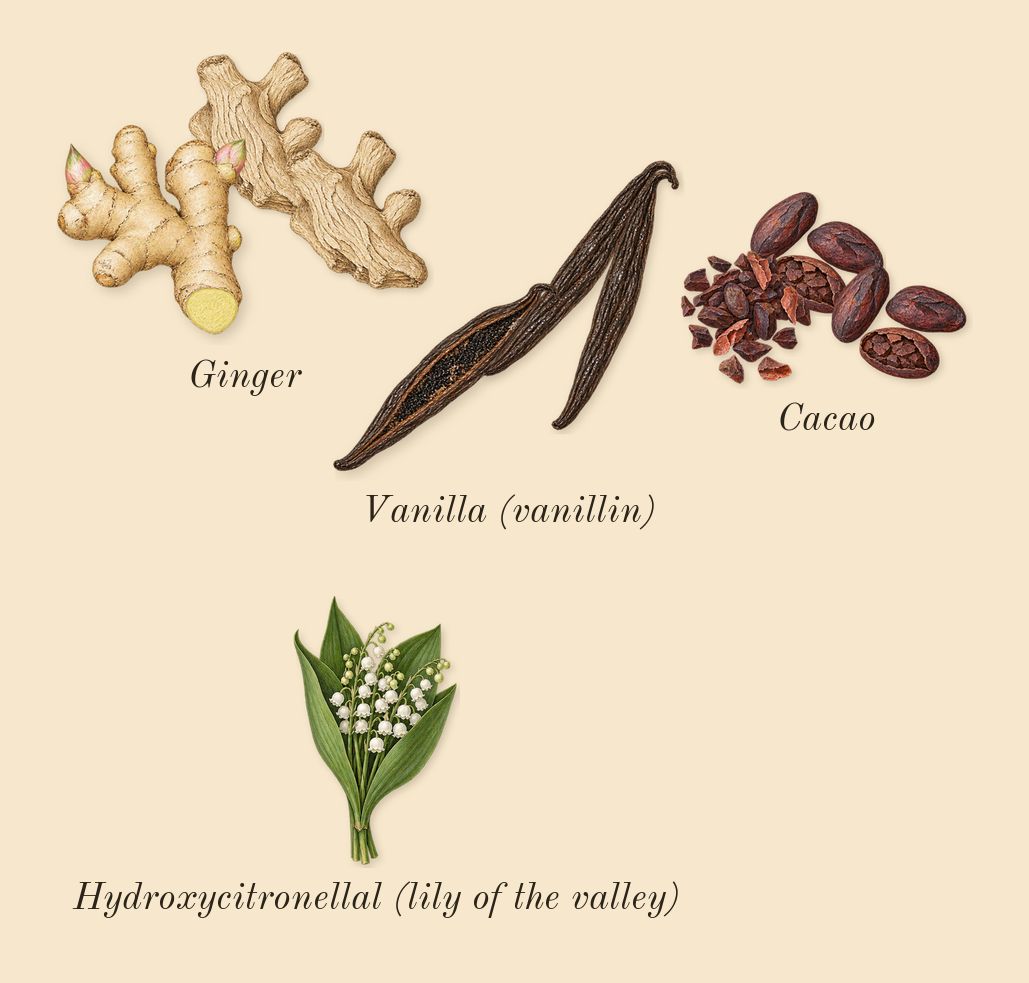Rare, heart: Vanilla (vanillin), Ginger, Cacao, Hydroxycitronellal (lily of the valley)