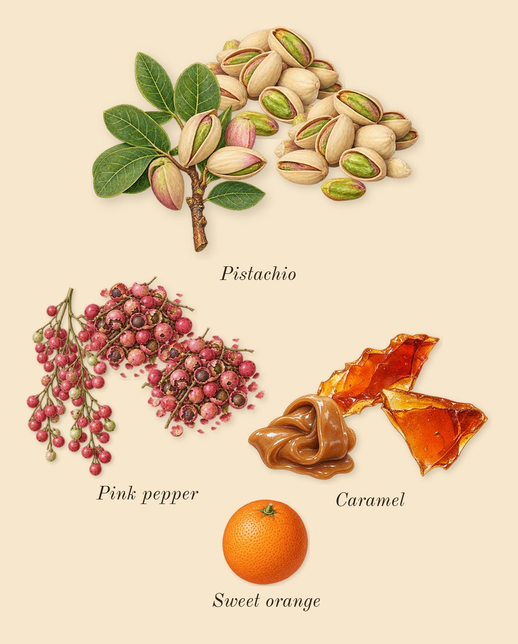 Rare, top notes: Caramel, Pistachio, Pink pepper, Sweet orange