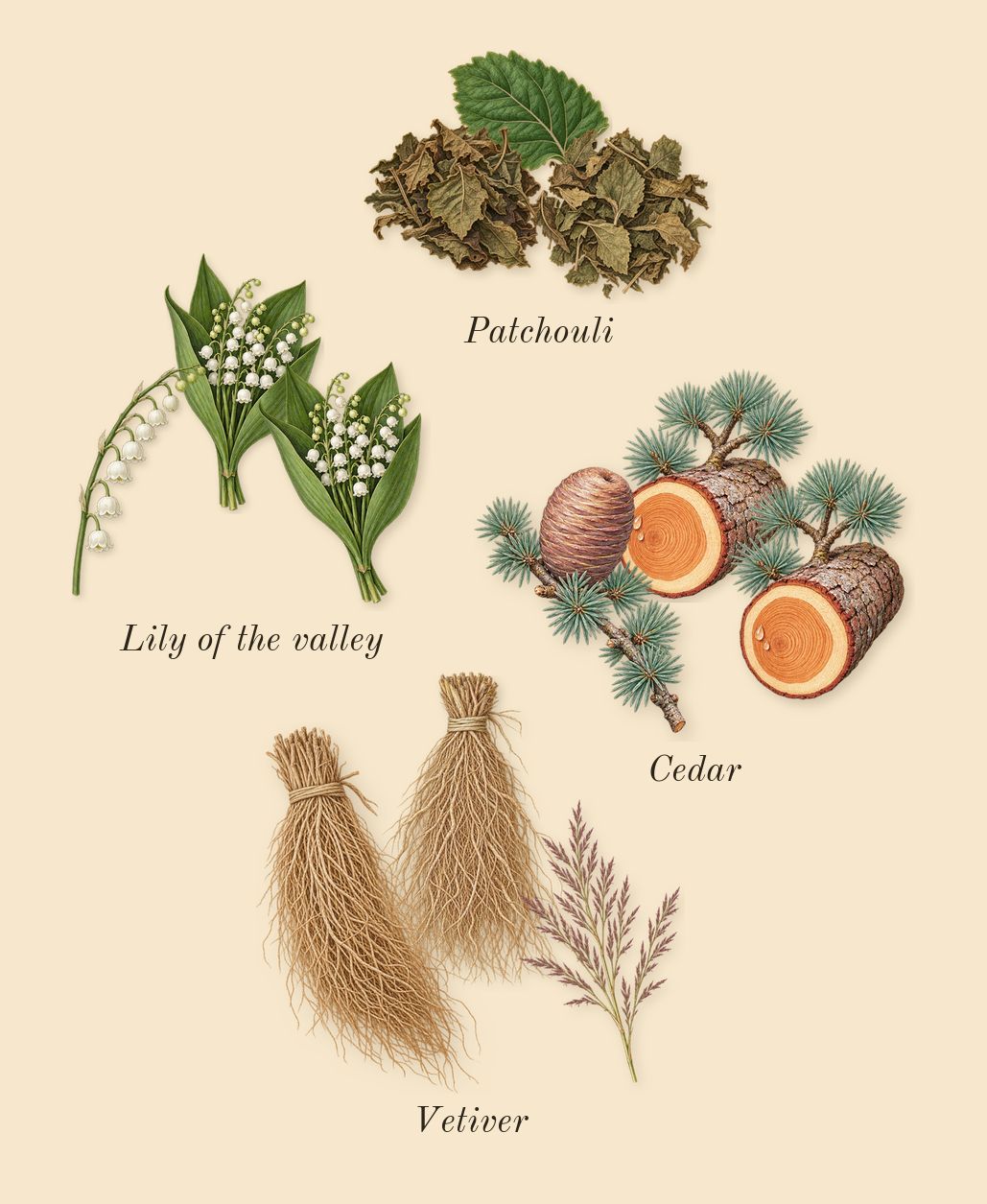 Fattan Pour Homme, heart: Cedar, Vetiver, Patchouli, Lily of the valley