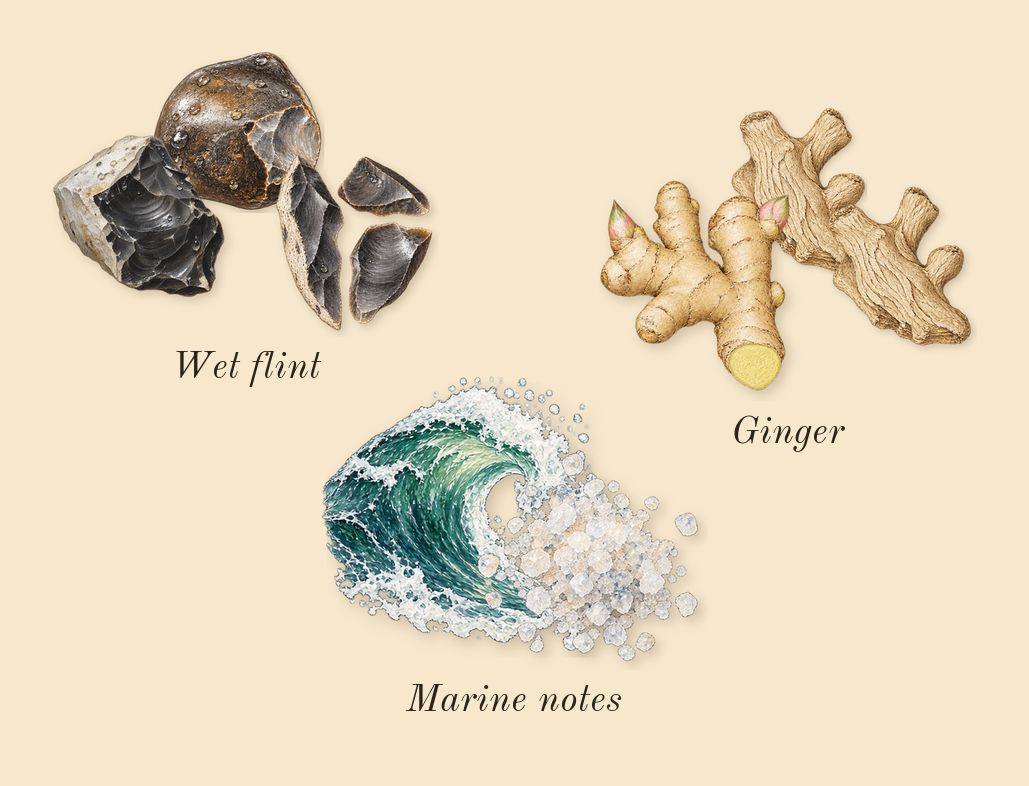 Hawas Atlantis, heart: Ginger, Wet flint, Marine notes