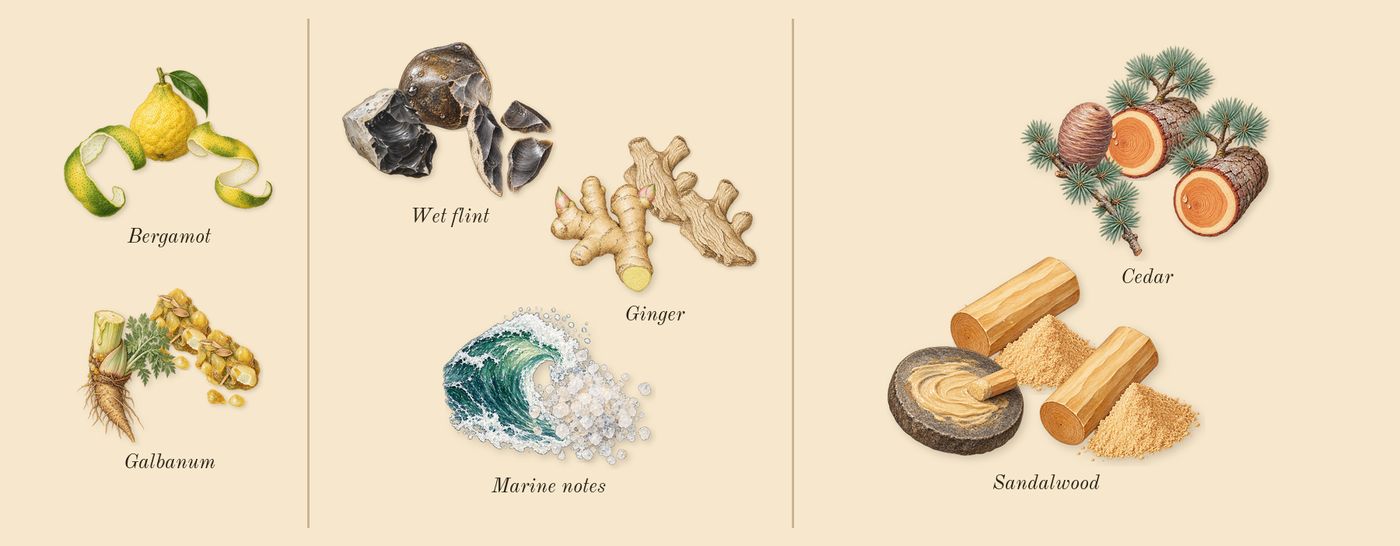 Hawas Atlantis’s scent picture, a draft: bergamot, galbanum, ginger, wet flint, marine notes, sandalwood drawn so far; dashed outlines where nothing is drawn yet