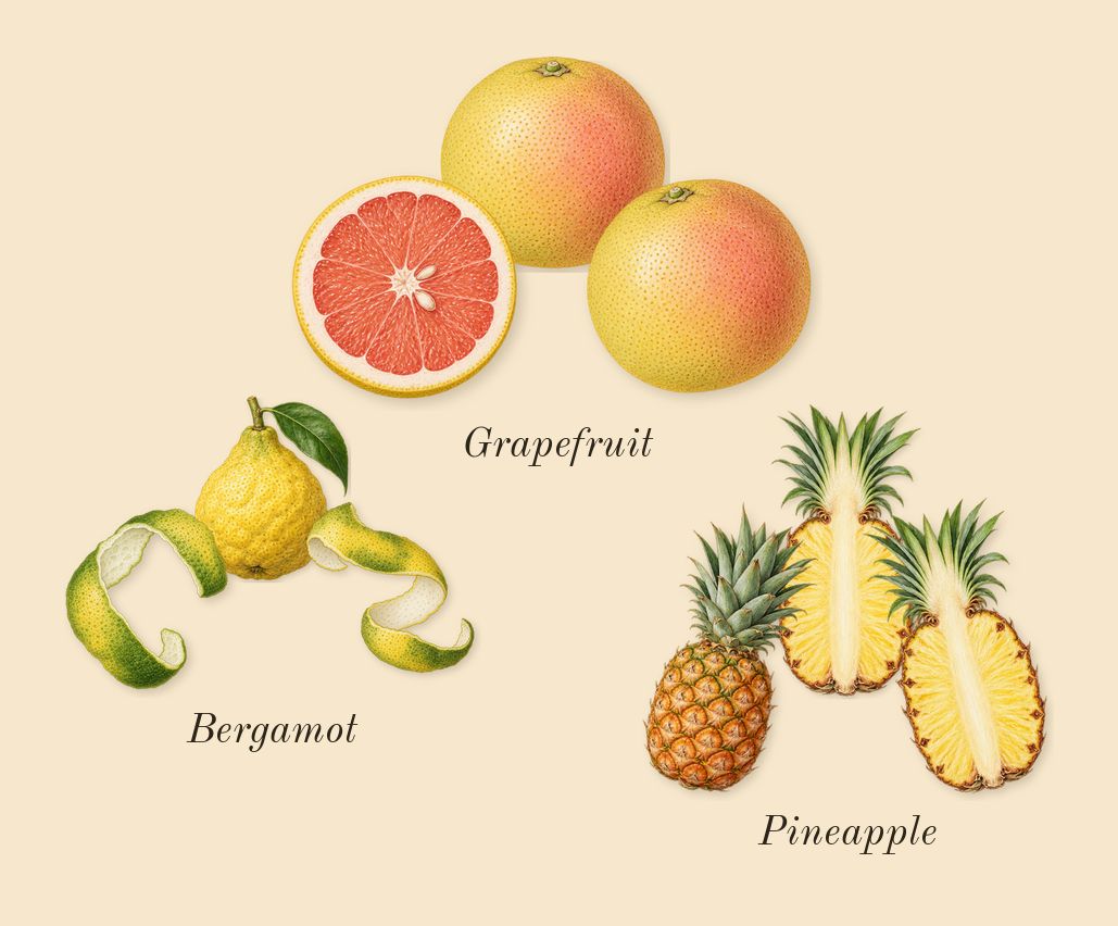 Hawas Black, top notes: Pineapple, Grapefruit, Bergamot