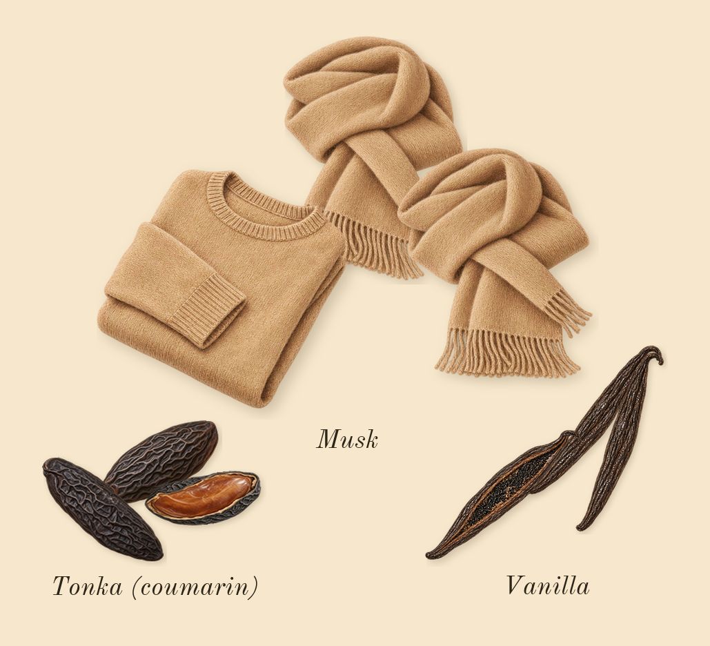 Hawas Elixir, dry-down: Vanilla, Tonka (coumarin), Musk