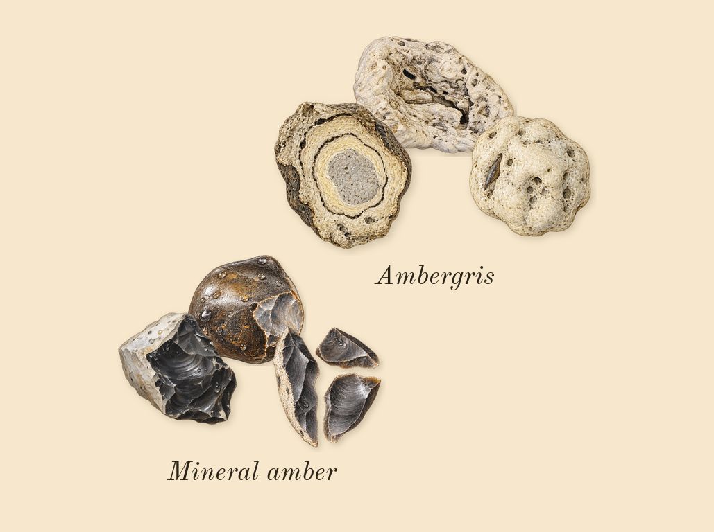 Hawas Fire, dry-down: Ambergris, Mineral amber
