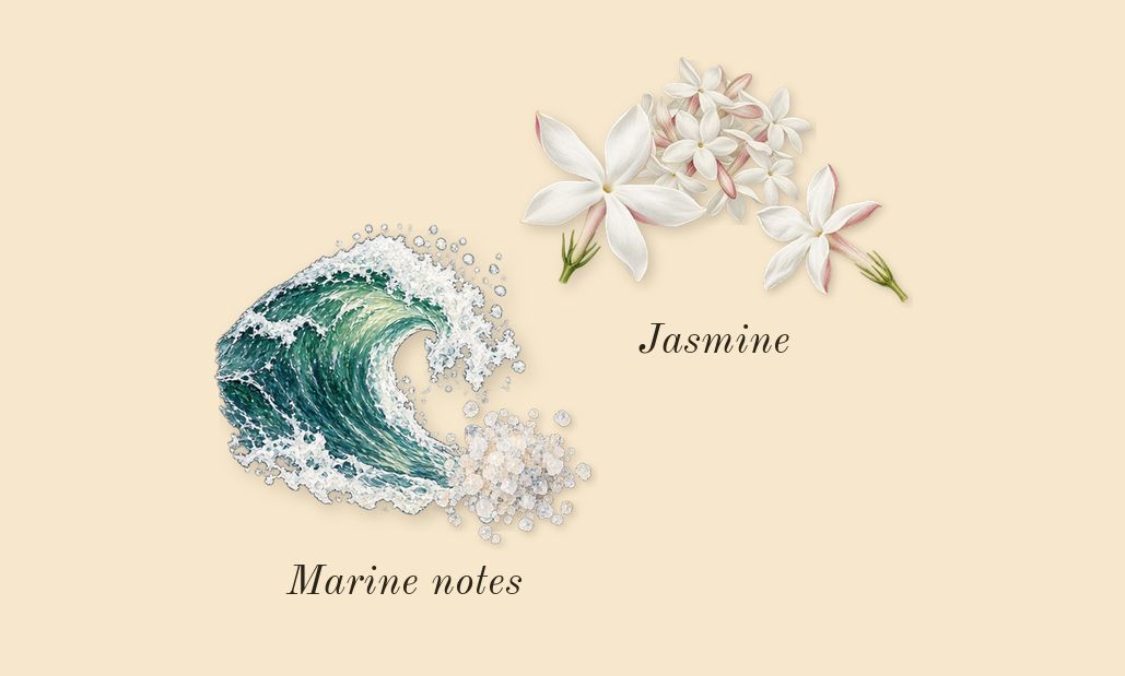 Hawas Fire, heart: Jasmine, Marine notes