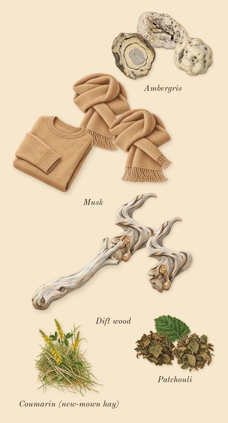 Hawas For Him, dry-down: Patchouli, Ambergris, Dift wood, Musk, Coumarin (new-mown hay)