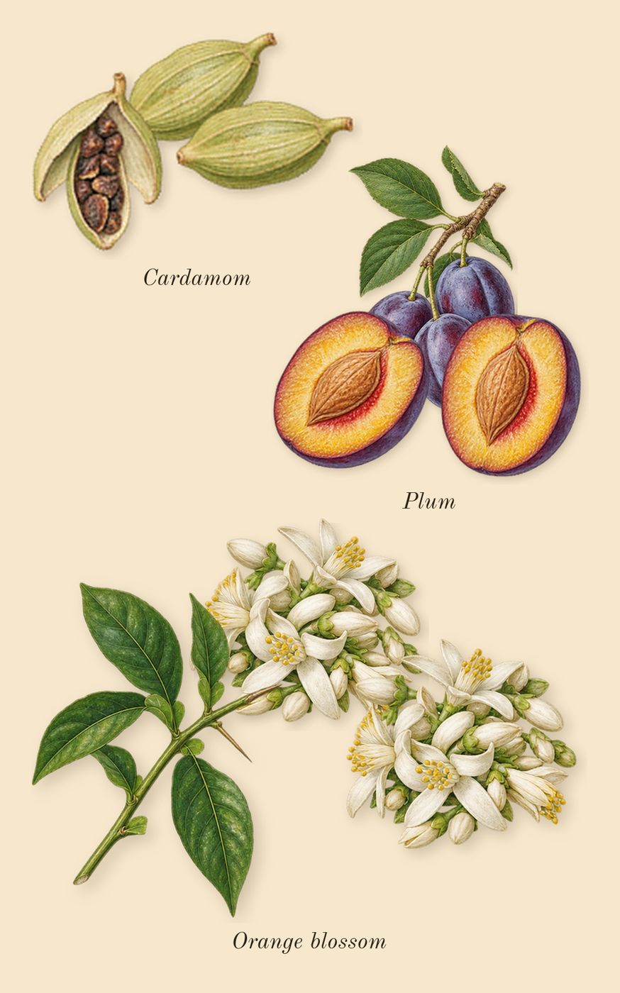 Hawas For Him, heart: Orange blossom, Cardamom, Plum