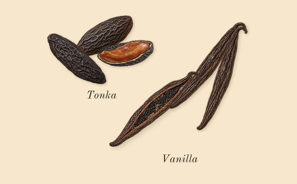 Hawas Pink, dry-down: Vanilla, Tonka