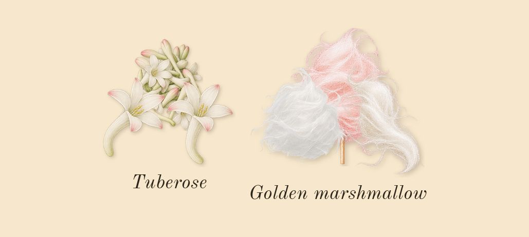 Hawas Pink, heart: Tuberose, Golden marshmallow