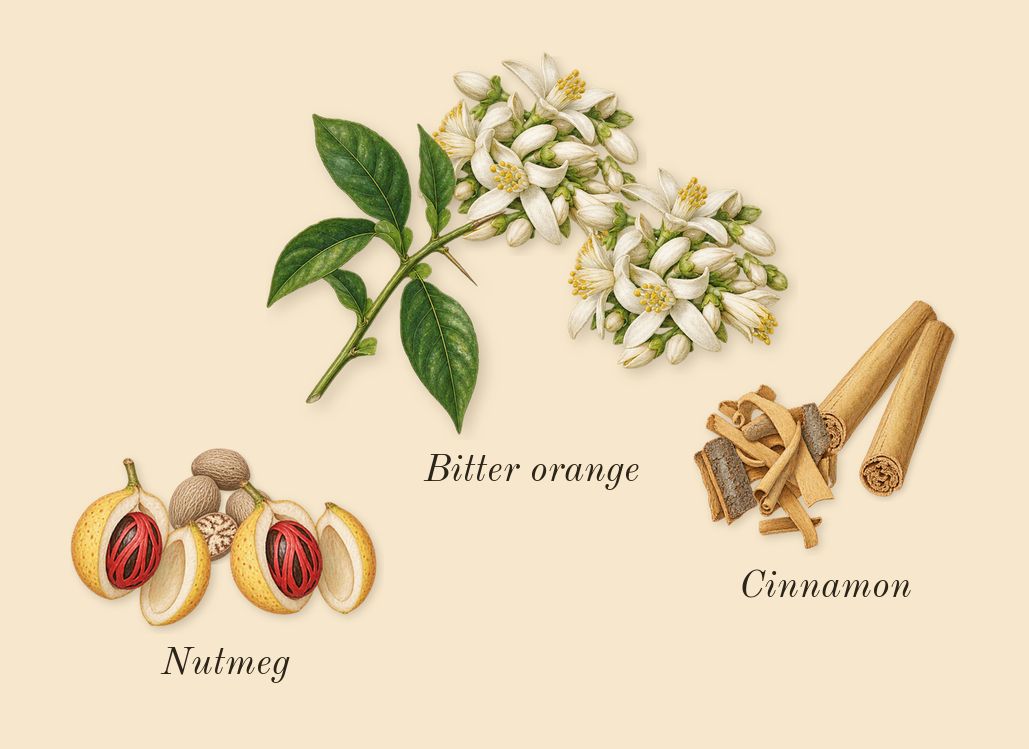 Hawas Pink, top notes: Bitter orange, Cinnamon, Nutmeg