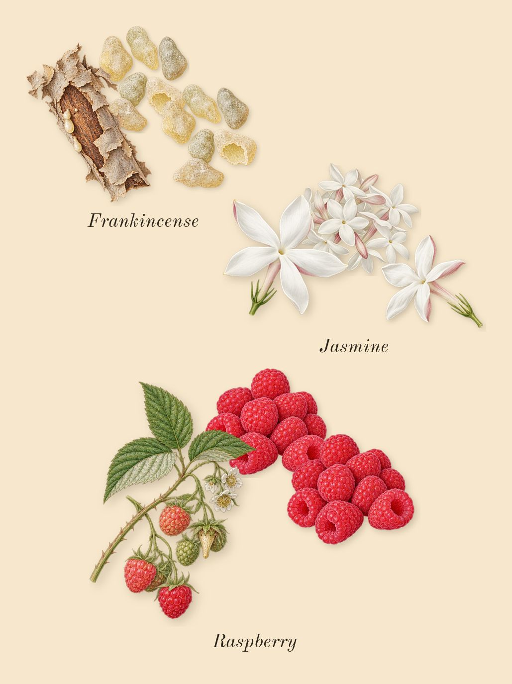 La Yuqawam Pour Homme, heart: Frankincense, Jasmine, Raspberry
