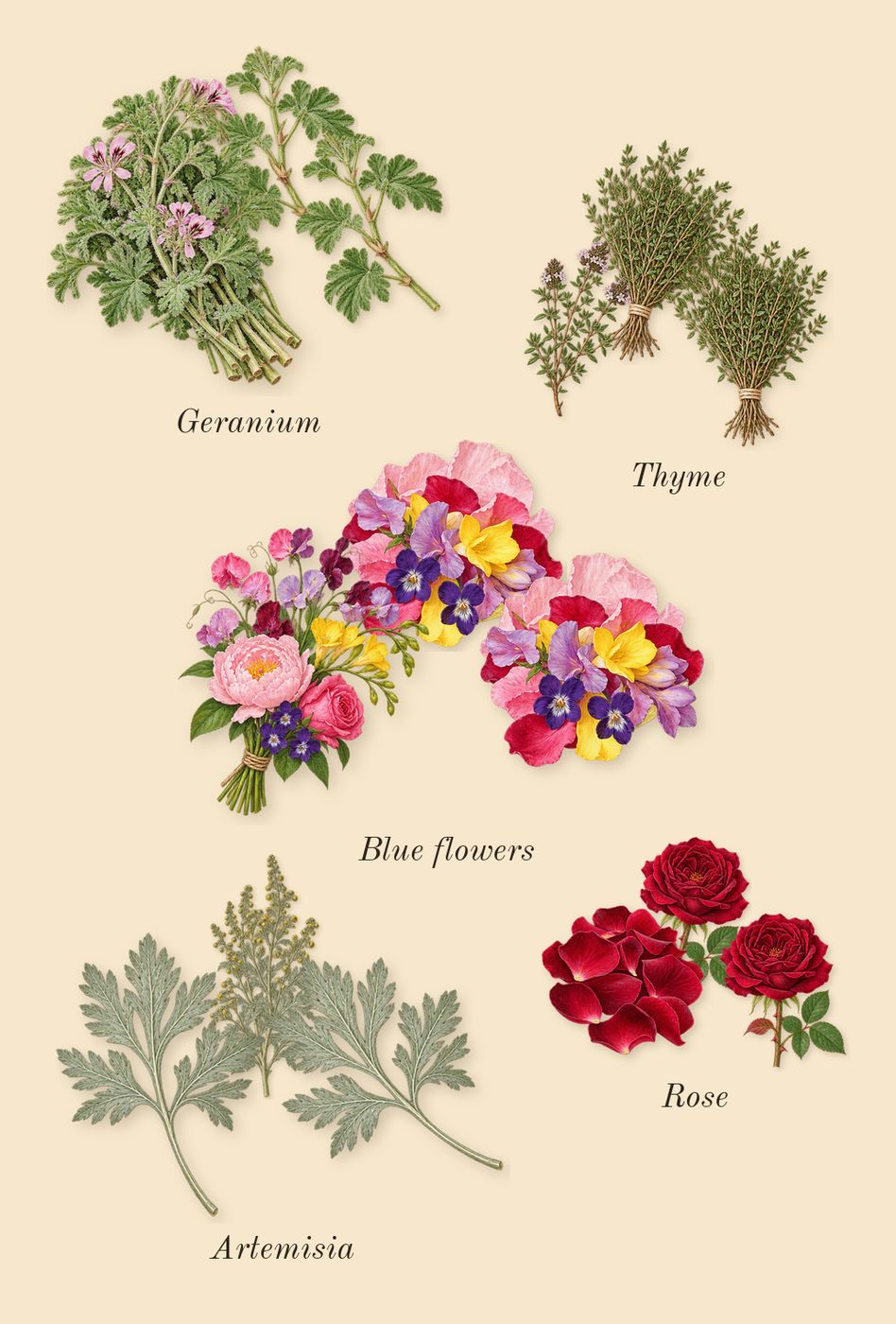 La Yuqawam Pour Homme, top notes: Rose, Geranium, Blue flowers, Thyme, Artemisia