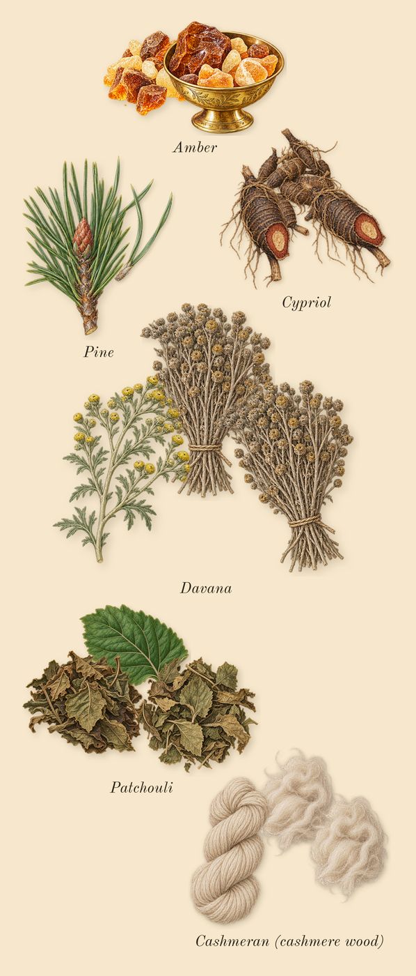 Reasons, heart: Patchouli, Pine, Cashmeran (cashmere wood), Amber, Cypriol, Davana