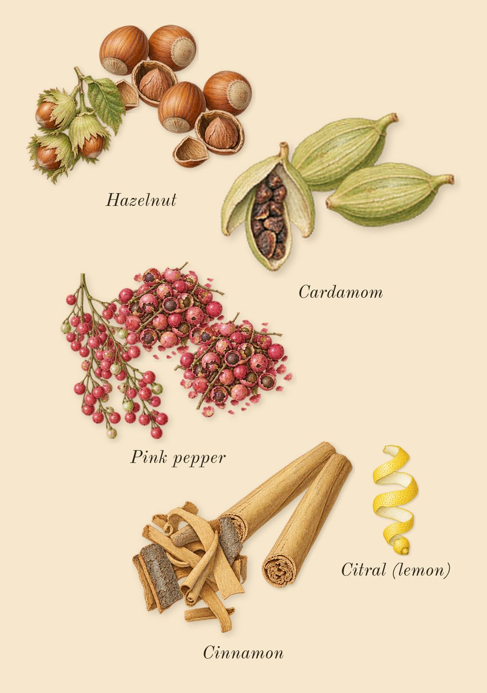 Reasons, top notes: Cardamom, Hazelnut, Cinnamon, Pink pepper, Citral (lemon)