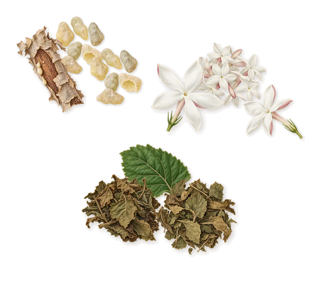 Blood Spider Orchids, as it settles: Frankincense, Jasmine, Patchouli