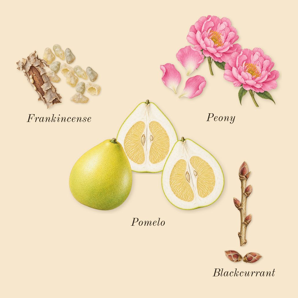 Little Flower, top notes: Blackcurrant, Pomelo, Peony, Frankincense