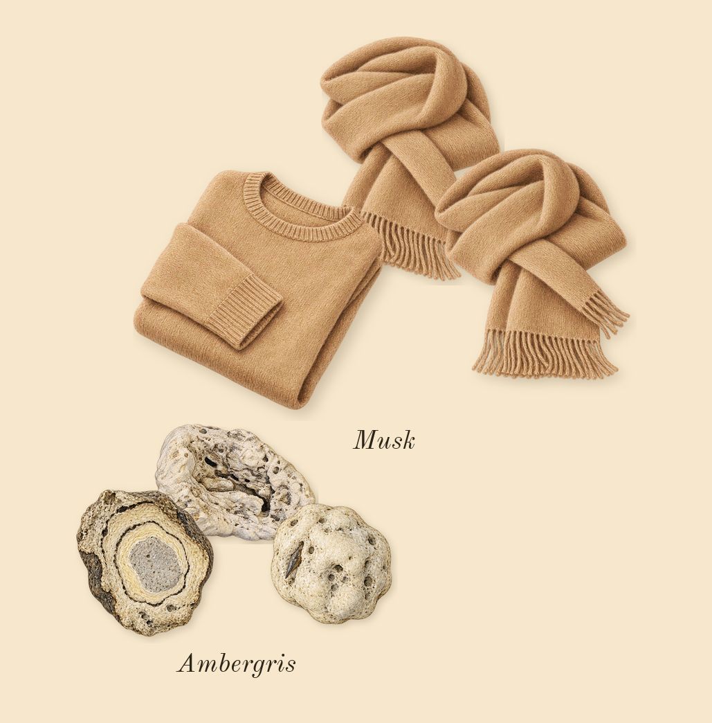 Tears, dry-down: Ambergris, Musk