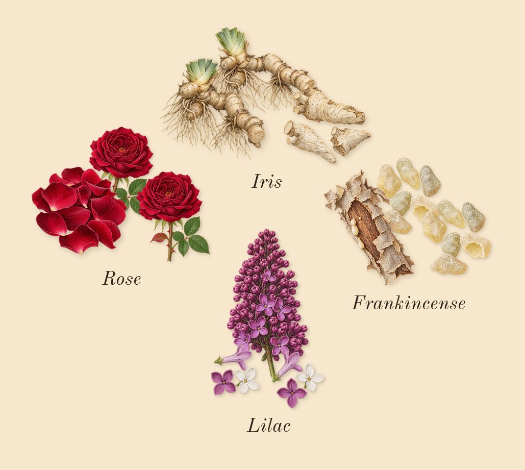 Tears, heart: Lilac, Iris, Frankincense, Rose
