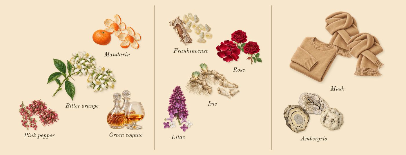 Tears’s scent picture, a draft: green cognac, pink pepper, bitter orange, lilac, iris, frankincense drawn so far; dashed outlines where nothing is drawn yet