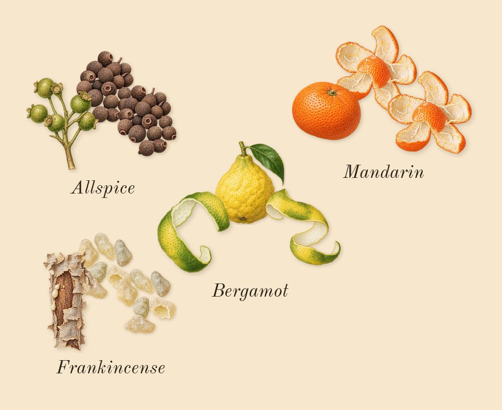 Remain, top notes: Frankincense, Mandarin, Allspice, Bergamot