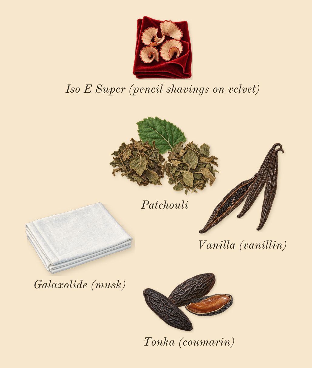 Serpentine, dry-down: Vanilla (vanillin), Tonka (coumarin), Patchouli, Iso E Super (pencil shavings on velvet), Galaxolide (musk)