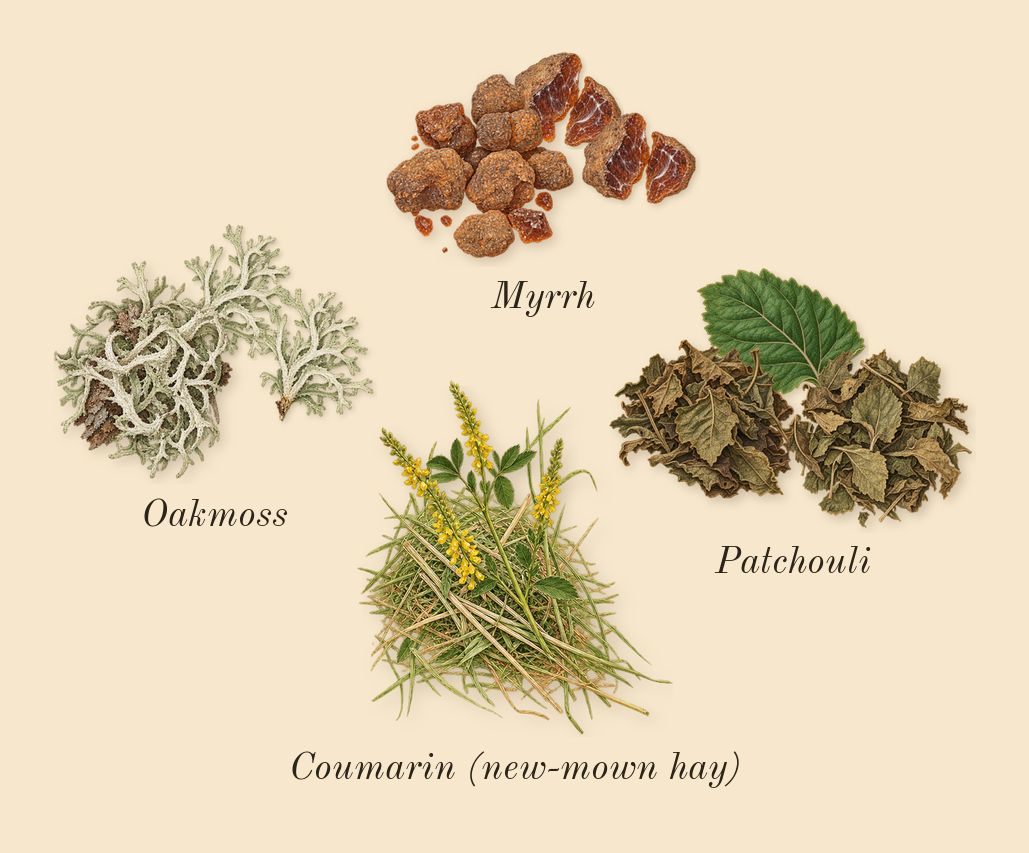 Eau de Rochas, dry-down: Oakmoss, Myrrh, Patchouli, Coumarin (new-mown hay)