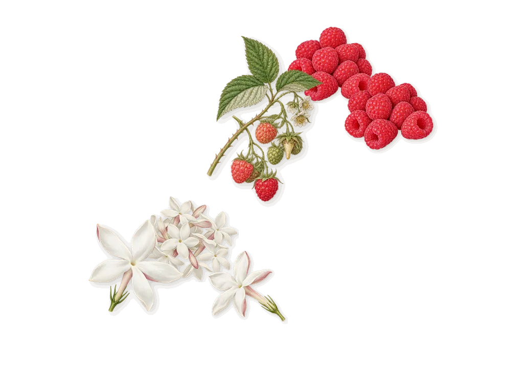 Man, as it settles: Jasmine, Raspberry