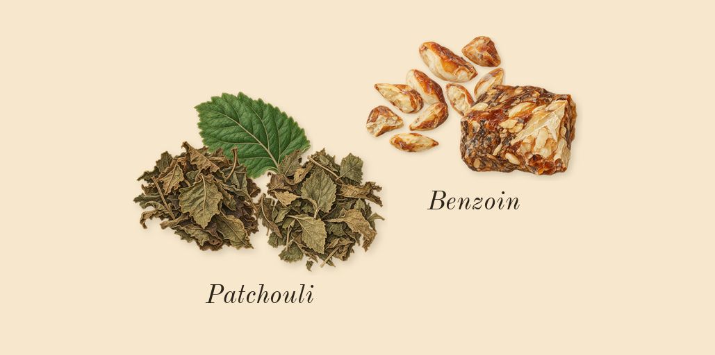Moustache, dry-down: Patchouli, Benzoin
