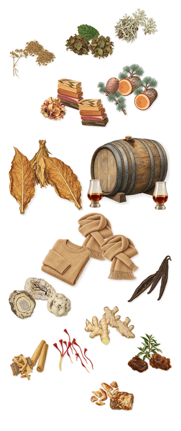 Burlington 1819, what stays: Ginger, Cinnamon, Cumin, Saffron, Patchouli, Oakmoss, Rum, Tobacco, Cedar, Casmir wood, Benzoin, Vanilla, Labdanum, Ambergris, Musk