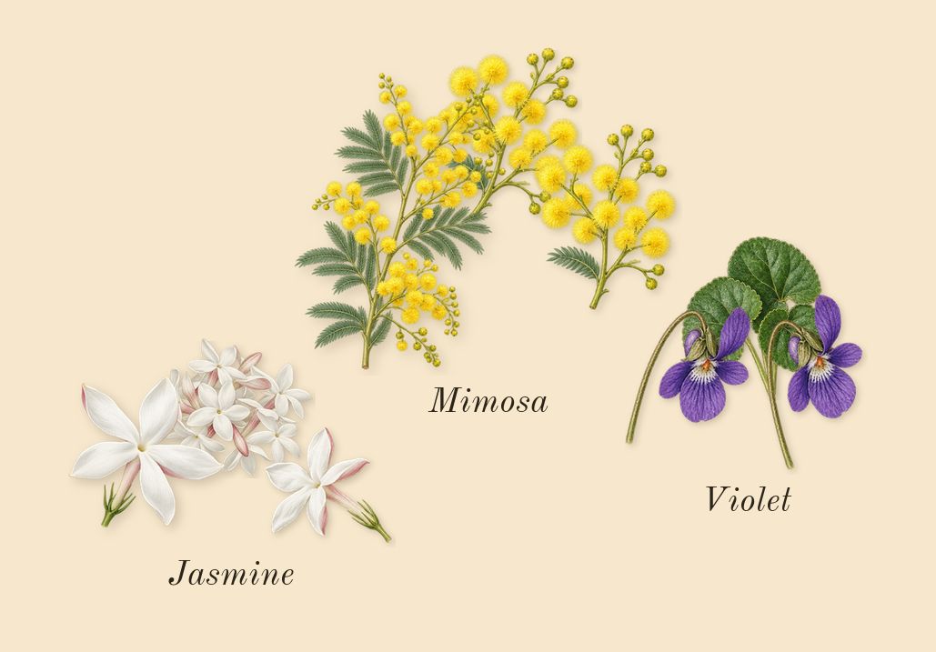 Cherry Punk, heart: Violet, Jasmine, Mimosa
