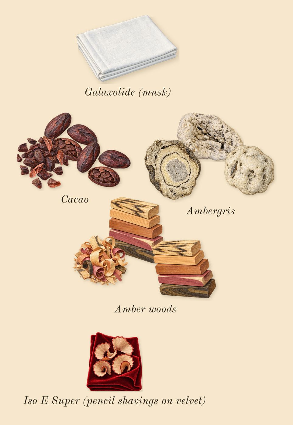 Wavechild, dry-down: Amber woods, Cacao, Ambergris, Iso E Super (pencil shavings on velvet), Galaxolide (musk)