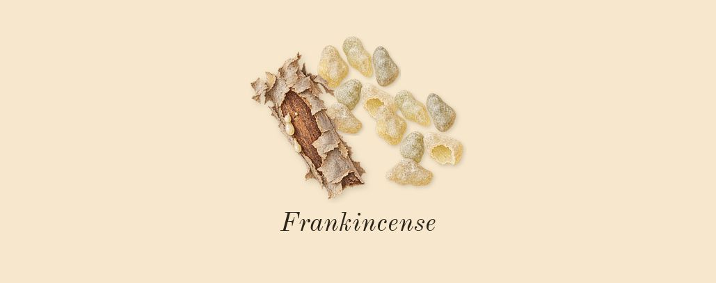 Rose Aqor, heart: Frankincense