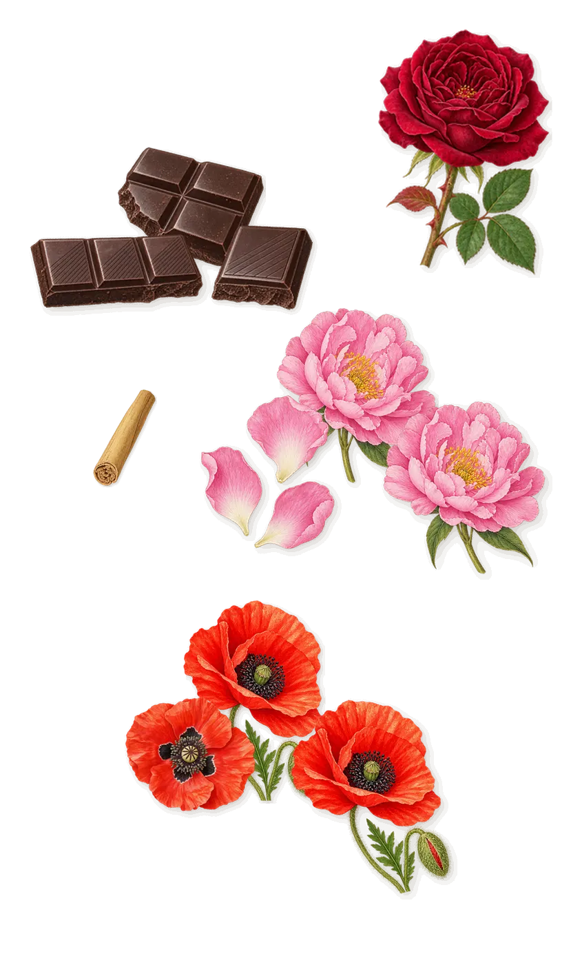 Cherry Baby, as it settles: Poppy, Peony, Dark chocolate, Cinnamon, Rose