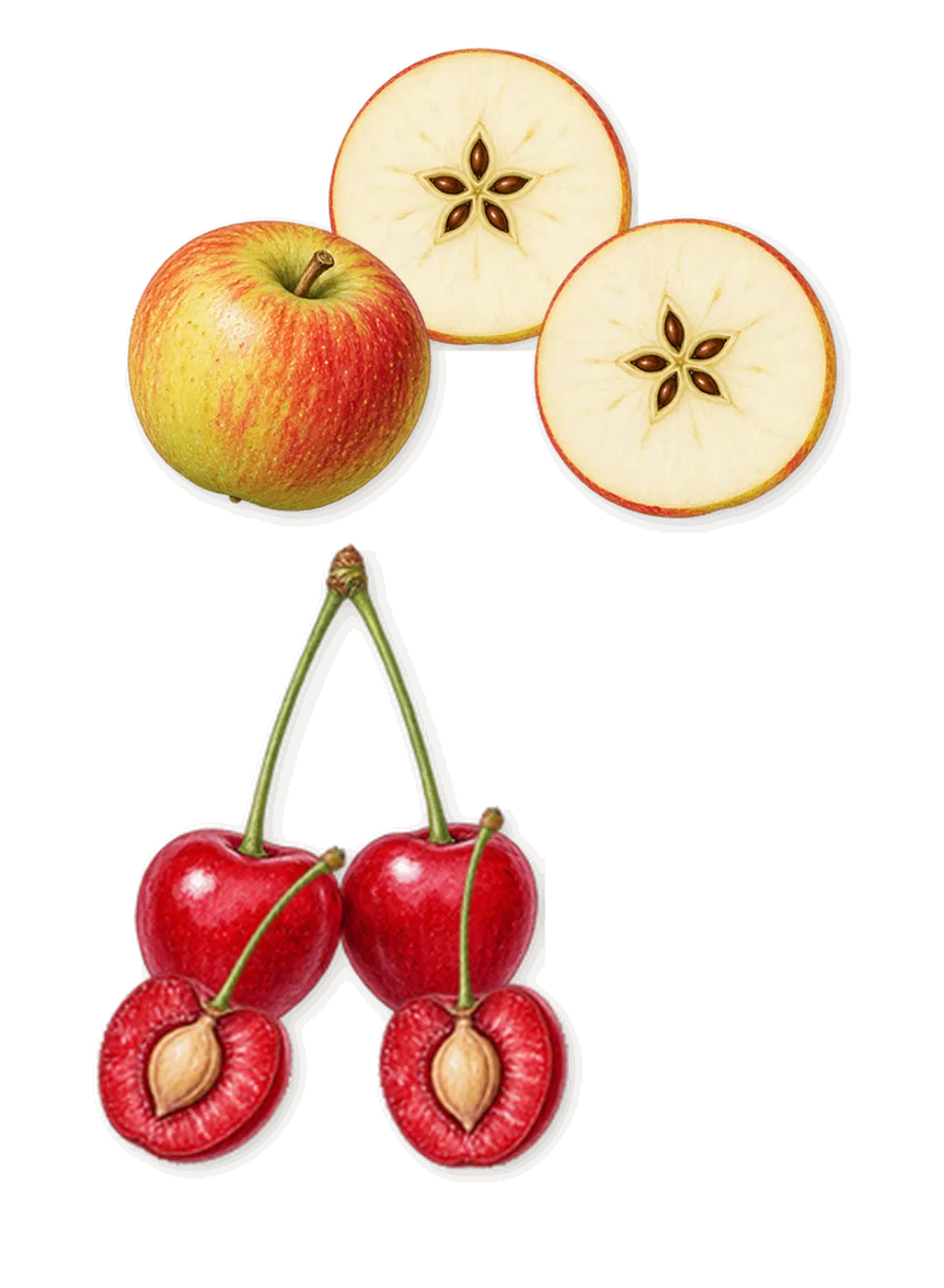 Cherry Baby, when you spray it: Cherry, Apple