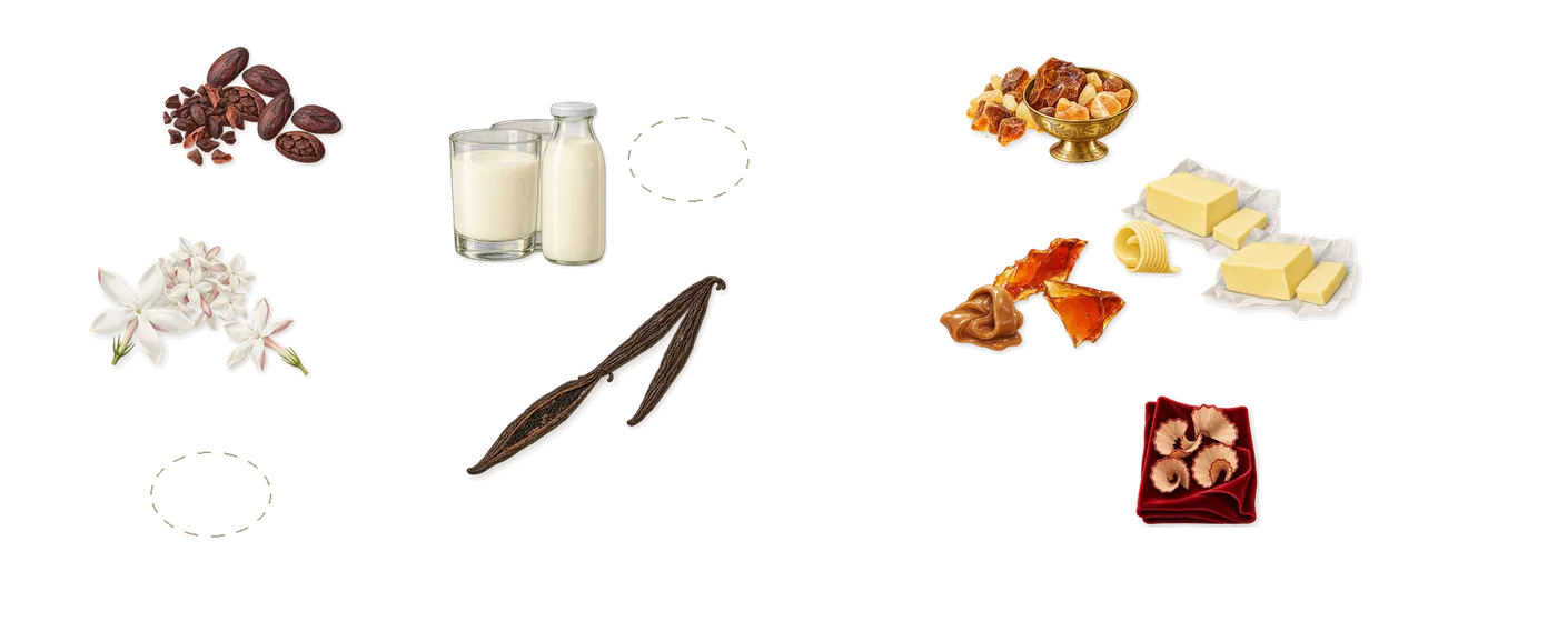 Me Espresso’s scent picture, a draft: jasmine, cacao, whipped cream, vanilla (vanillin), caramel drizzle, amber drawn so far; dashed outlines where nothing is drawn yet