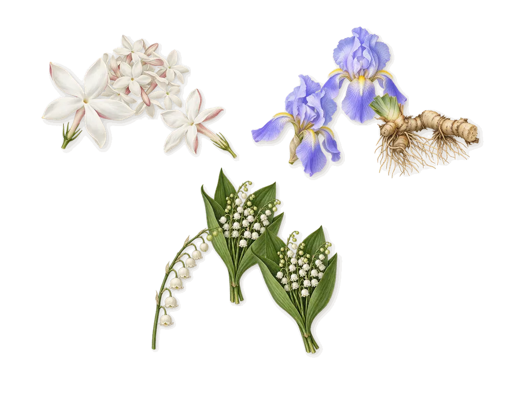 A Lovely Summer Sunburst, as it settles: Iris, Jasmine, Lily of the valley