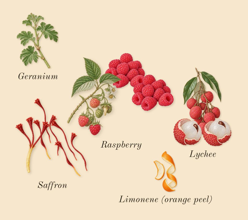 Sequence, top notes: Lychee, Raspberry, Saffron, Geranium, Limonene (orange peel)