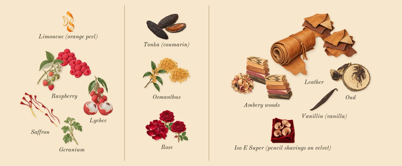 Sequence’s scent picture, a draft: lychee, raspberry, saffron, rose, osmanthus, tonka (coumarin) drawn so far; dashed outlines where nothing is drawn yet