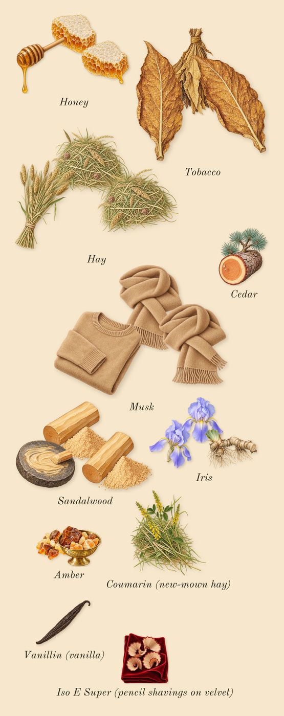 Chergui, dry-down: Amber, Honey, Musk, Tobacco, Hay, Iris, Sandalwood, Cedar, Iso E Super (pencil shavings on velvet), Coumarin (new-mown hay), Vanillin (vanilla)