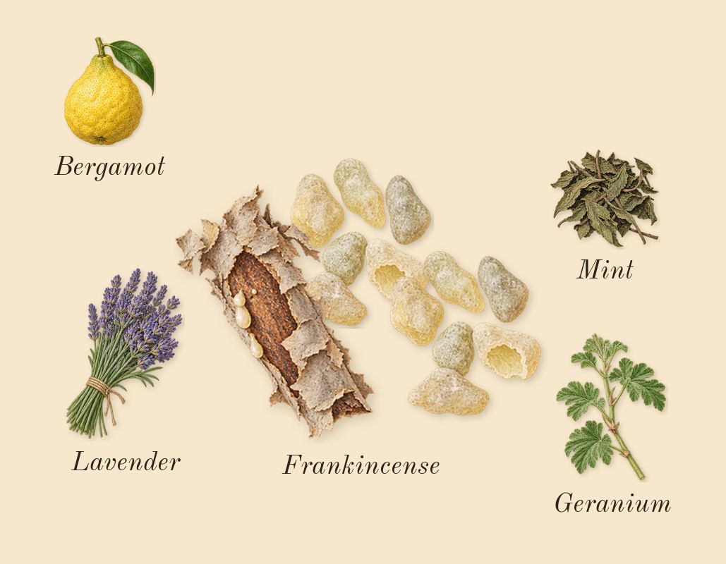 Chergui, top notes: Frankincense, Geranium, Bergamot, Mint, Lavender