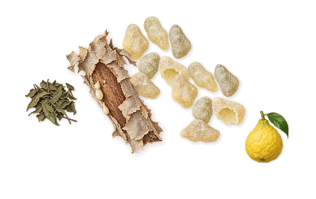 L'Orpheline, when you spray it: Frankincense, Mint, Bergamot