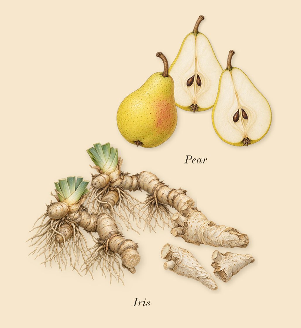 Me, heart: Iris, Pear