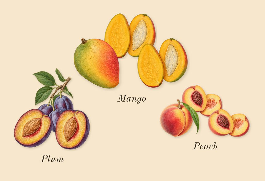 Me, top notes: Peach, Plum, Mango